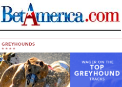 betamerica